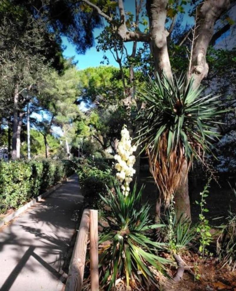 Studio Marseille Calanques Exterior foto